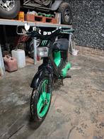 Honda Wallaroo, Enlèvement, Honda