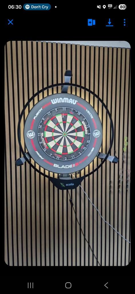 Scolia home 2 flex + winmau plasma, Sports & Fitness, Fléchettes, Comme neuf, Cible de fléchettes, Électronique, Enlèvement