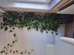 Groen in kamer?, Tuin en Terras, Gras en Kunstgras, Ophalen, Zo goed als nieuw