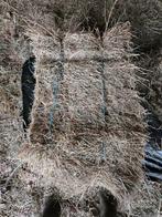 Hooi, kleine pakken weidegras, Dieren en Toebehoren, Paarden