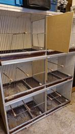 Oudere Van keulen kweekkooien, Dieren en Toebehoren, Ophalen, Gebruikt