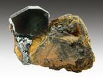 HEMATIET kristallen op ANDRADIET uit de N'Chwaning II mijn., Collections, Minéraux & Fossiles, Minéral, Enlèvement ou Envoi