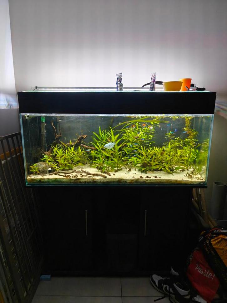 Aquarium 240L + kast+toebehoren, Dieren en Toebehoren, Vissen | Aquaria en Toebehoren, Zo goed als nieuw, Ophalen