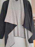 Antraciet grijze losse vest met lange mouwen, maat large, Primark, Maat 42/44 (L), Ophalen of Verzenden, Zo goed als nieuw