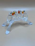 Dwergpapegaaien Swarovski, Ophalen of Verzenden, Zo goed als nieuw