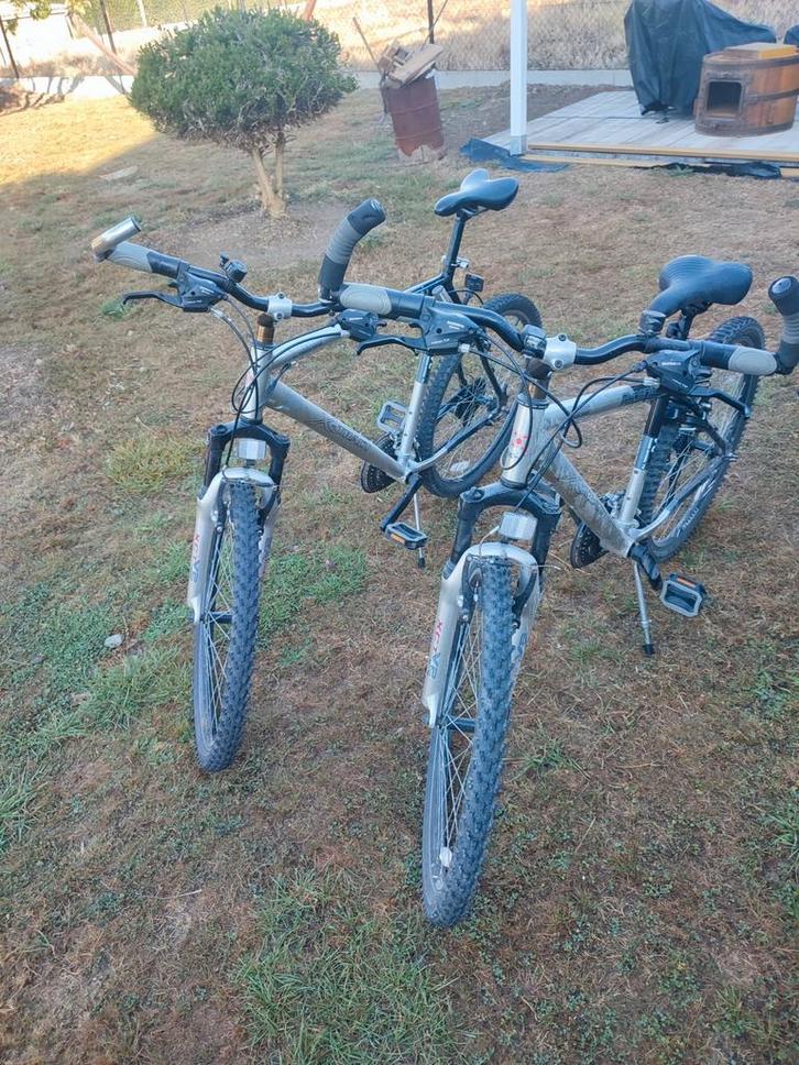 Phoenix aluminium mountainbike voor dames en heren, Fietsen en Brommers, Fietsen | Heren | Sportfietsen en Toerfietsen, Zo goed als nieuw