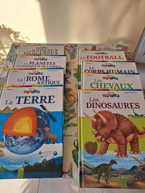 Lot de 8 tomes Clés du savoir., Boeken, Kinderboeken | Jeugd | 10 tot 12 jaar, Nieuw, Non-fictie, Ophalen