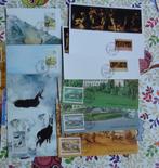 Setje FDC uit Liechtenstein, Postzegels en Munten, Postzegels | Eerstedagenveloppen, Ophalen of Verzenden, Onbeschreven