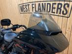 Harley-Davidson Road Glide Special (bj 2023), Motoren, Motoren | Harley-Davidson, Bedrijf, Overig, 1868 cc