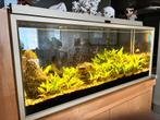 GRATIS  Aquarium 240 liter, Animaux & Accessoires, Enlèvement, Utilisé, Aquarium vide