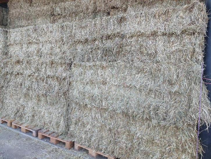 hooi en stro, Zakelijke goederen, Landbouw | Tractoren, tot 2500, Overige merken, tot 80 Pk, Nieuw, Ophalen