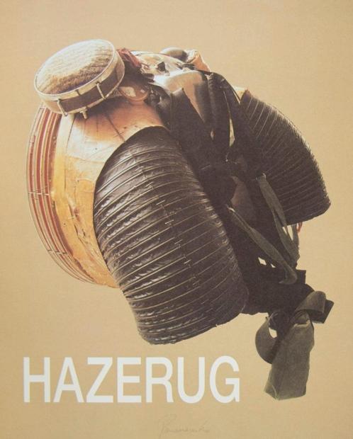 Panamarenko: Hazerug in knappe plexi box., Antiek en Kunst, Kunst | Litho's en Zeefdrukken, Ophalen of Verzenden