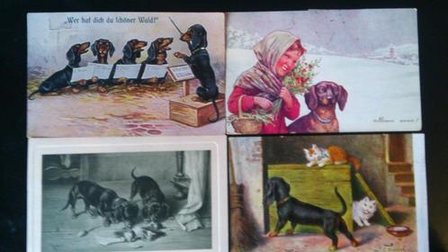 Carte Postale illustrateur, Collections, Cartes postales | Animaux, Non affranchie, 1920 à 1940, Chien ou Chat, Envoi