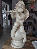 Decoratieve cherubijn, Ophalen