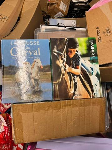 Lot de 2 livres sur les chevaux - Idéal pour les passionnés beschikbaar voor biedingen