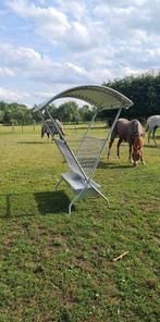 Hooruif schapen alpaca, Dieren en Toebehoren, Stalling en Weidegang