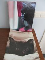 ringkaften, Enlèvement ou Envoi, Utilisé