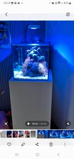 Zeeaquarium 60l compleet met materiaal zonder inhoud, Dieren en Toebehoren, Vissen | Aquariumvissen