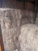 Bio hooi, Dieren en Toebehoren, Dierenvoeding, Ophalen