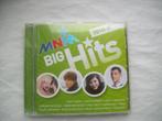 CD - MNM BIG HITS  -  2010  VOL 2, Cd's en Dvd's, Ophalen of Verzenden, Zo goed als nieuw, Dance