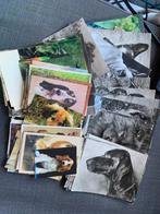 Collectie retro hondenansichtkaarten, Enlèvement, Autres types