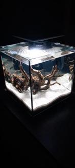Aquarium met ledverlichting + vissen, Zo goed als nieuw, Ophalen, Gevuld zoetwateraquarium