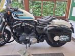 Kofferset met binnentassen voor Harley-Davidson Sportster, Particulier, Naked bike