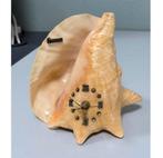 Horloge vintage en forme de coquille, grande polie, Floride, Enlèvement ou Envoi