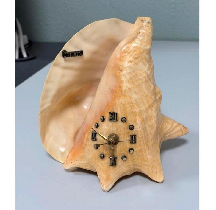 Vintage Schelpklok Grote Gepolijste Conchshell Florida Decor, Antiek en Kunst, Antiek | Klokken, Ophalen of Verzenden