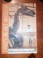 Brochure Dino's in het museum, Boeken, Ophalen of Verzenden, Zo goed als nieuw