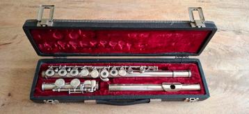 Flûte Dolnet, Musique & Instruments, Enlèvement