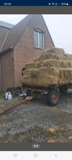 Hooi 2025, Zakelijke goederen, Landbouw | Veevoer, Ophalen