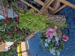 Boomstam met kunstof planten  €60, Ophalen