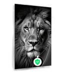 Lion noir et blanc Poster 100x150cm mat., Envoi