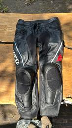 Dainese leren motorbroek maat 52, Motoren, Kleding | Motorkleding, Ophalen, Tweedehands, Broek | leer, Dainese