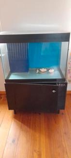 Aquarium, Ophalen of Verzenden, Zo goed als nieuw