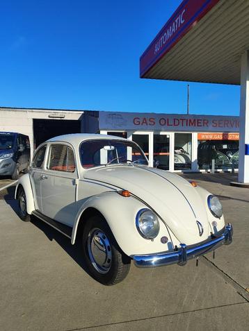 Vw kever 1500 bwj 1967 *one year only* gekeurd + garantie beschikbaar voor biedingen