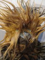 Chewbacca knuffel van disney, Kinderen en Baby's, Speelgoed | Knuffels en Pluche, Ophalen of Verzenden, Zo goed als nieuw, Overige typen