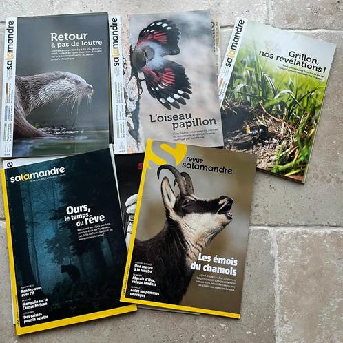 Magazines Salamandres, Boeken, Tijdschriften en Kranten, Gelezen, Ophalen