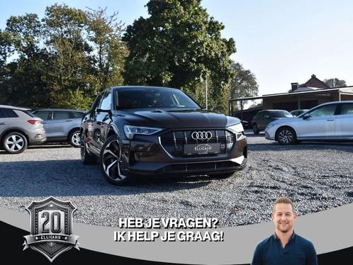 Audi e-tron 95 KWH / 55 QUATTRO / SCHUIFDAK / CARPLAY / CAME, Autos, Audi, Entreprise, Achat, e-tron, Caméra 360°, 4x4, ABS, Caméra de recul