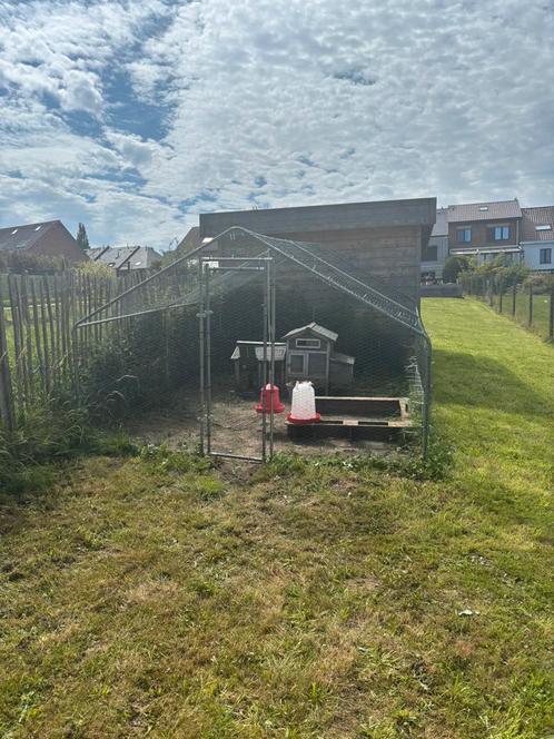 Kippenren en kippenhok + toebehoren, Dieren en Toebehoren, Pluimvee | Toebehoren, Gebruikt, Kippenhok of Kippenren, Ophalen