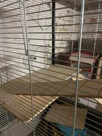 Belle cage à rongeurs à vendre en très bon état, Animaux & Accessoires, 75 à 110 cm, Cage, Comme neuf, Cobaye