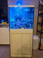 Compleet zeeaquarium, Ophalen