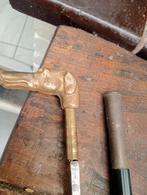 Defensieve windhond Cane