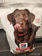 Hills hondenbrokken, Dieren en Toebehoren, Dierenvoeding, Ophalen, Hond