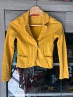 Mooi meisjesjasje CKS maat 152, Kinderen en Baby's, Kinderkleding | Maat 152, Ophalen, Zo goed als nieuw, Meisje, Trui of Vest