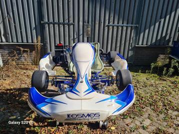 Te koop rotax max senior  kart  beschikbaar voor biedingen