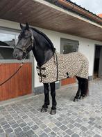 Hoefsmid gezocht, Dieren en Toebehoren, Hengst