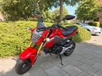 Honda msx 125, Motoren, Motoren | Honda, 125 cc, 11 kW of minder
