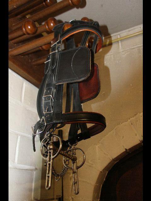 Harnais complet pour un cheval, Animaux & Accessoires, Chevaux & Poneys | Brides & Harnachement, Comme neuf, Autres espèces, Enlèvement